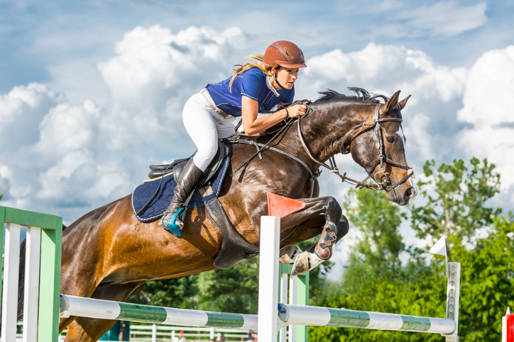 Show jumping - horse with female rider jumping over hurdle